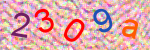 capcha